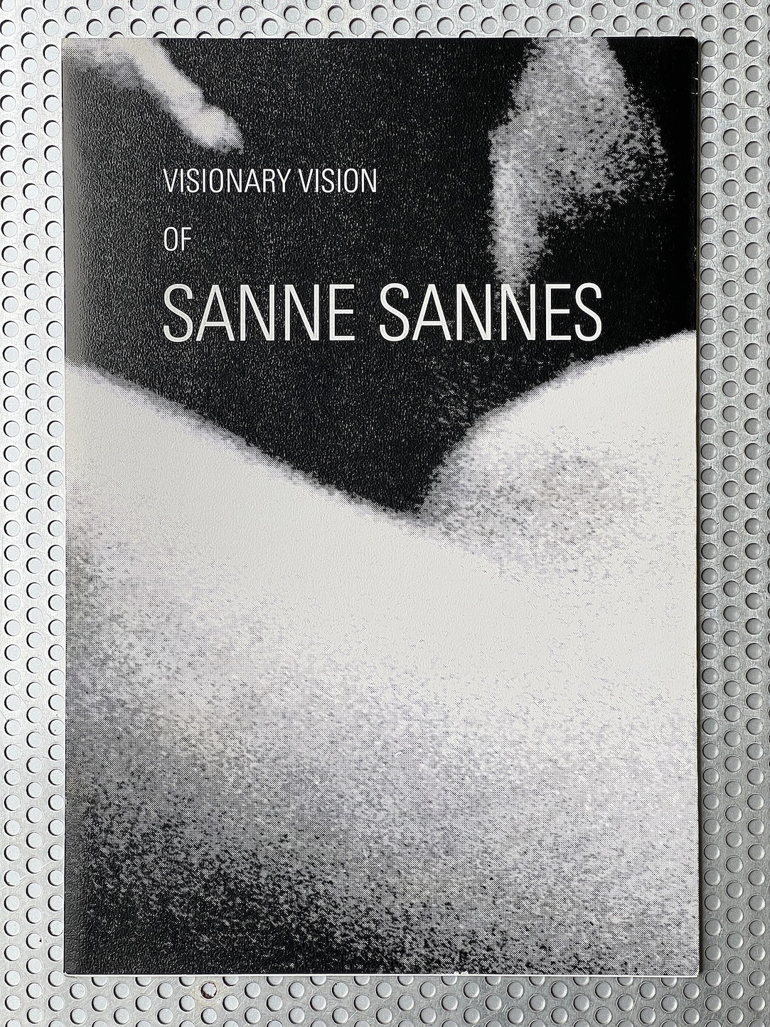 visionary-vision-of-sanne-sannes-kahmann-gallery-9784990525422