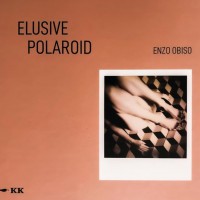 Elusive Polaroid